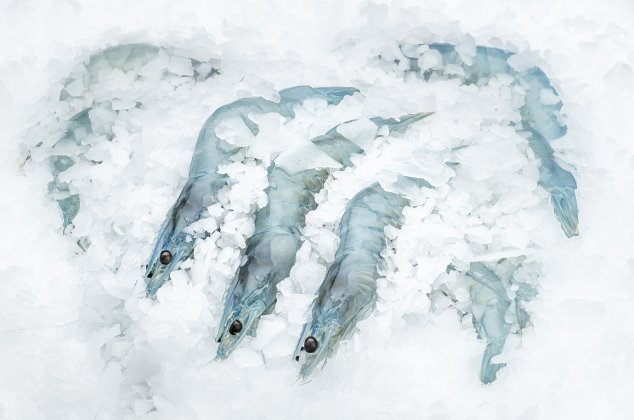 Migros Ostschweiz verkauft SwissShrimps